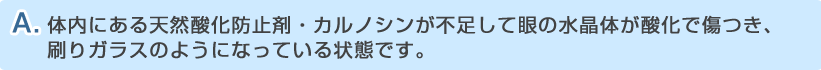 答え
